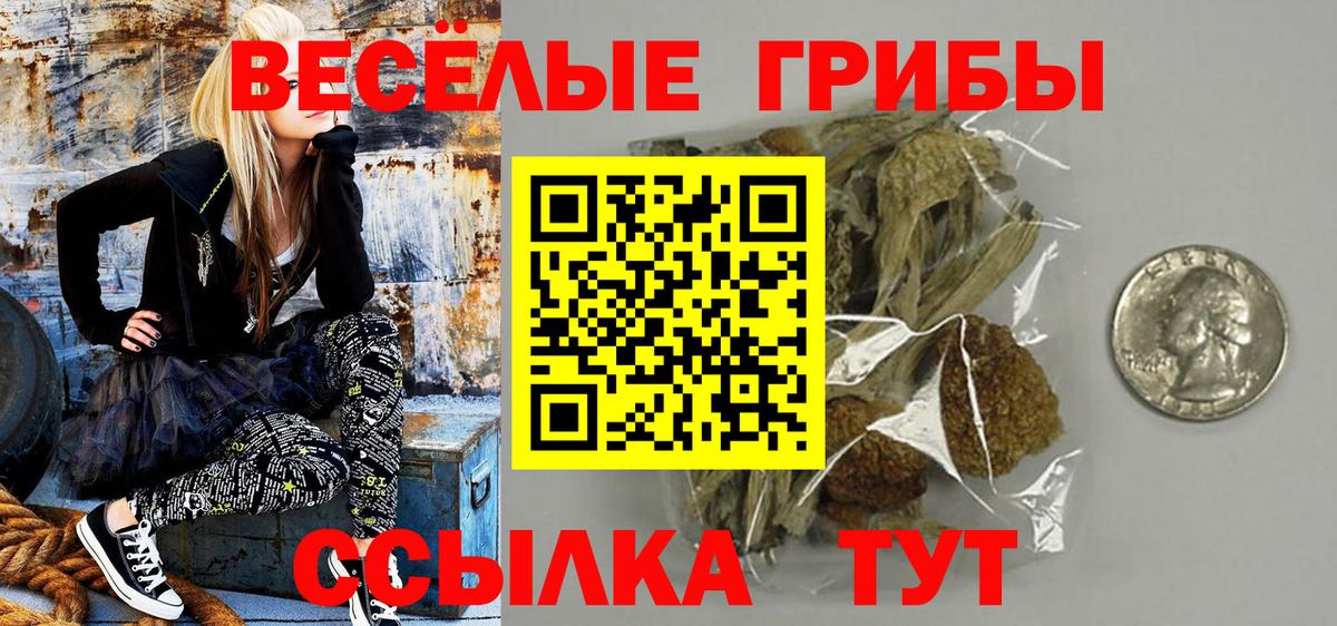 Псилоцибиновые грибы Psilocybine cubensis Смоленск